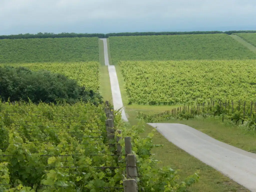 Croatia winery