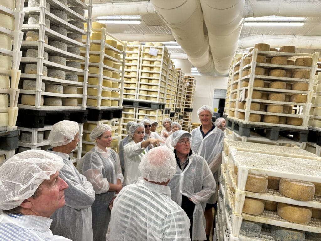 Croatia cheese