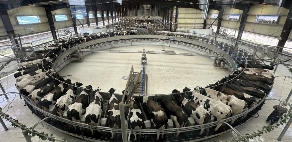 IMG 6669 e1762908497720 - Farm & Leisure Tours