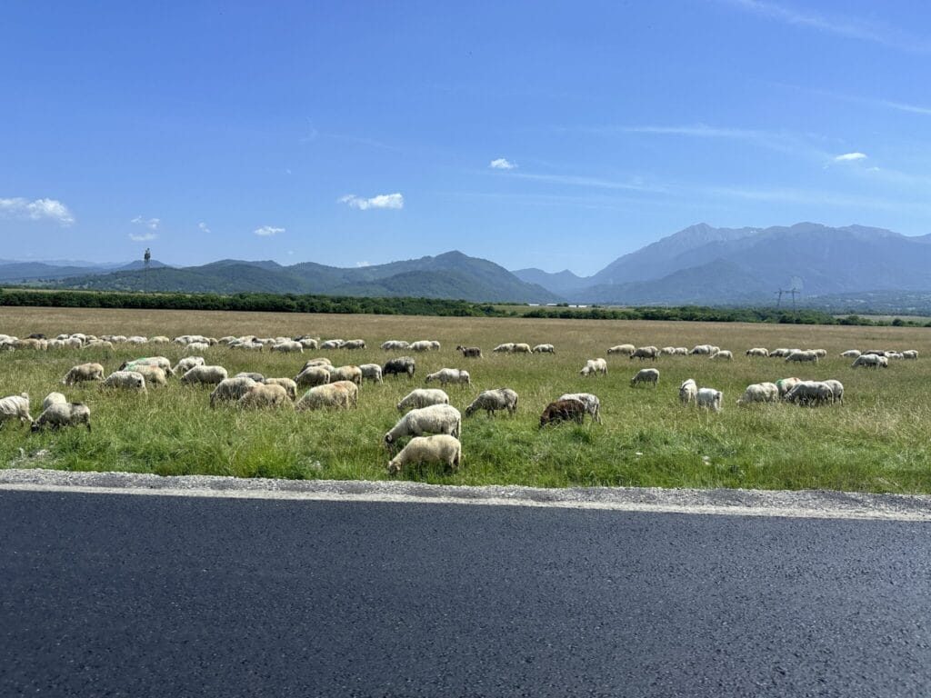 europe
