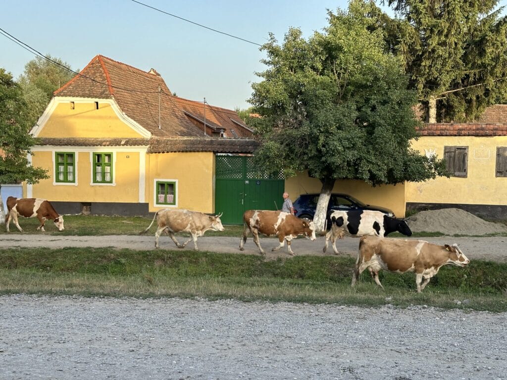 Viscri Village Romania