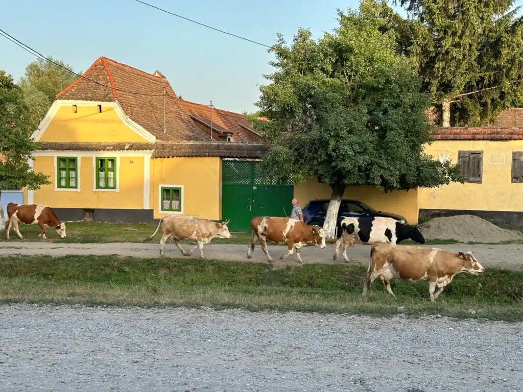 Viscri Village Romania