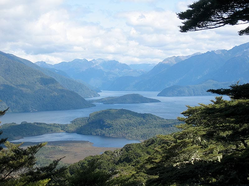 New Zealand Manapouri - Farm & Leisure Tours
