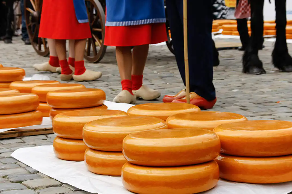 Best of Dutch & Belgium Agriculture