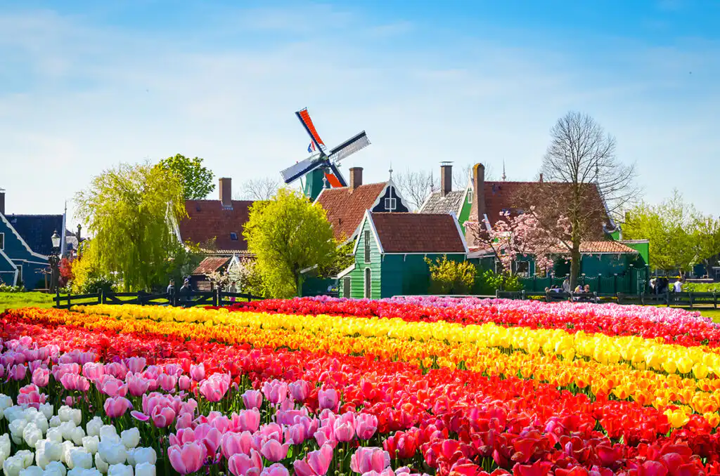 Best of Dutch & Belgium Agriculture