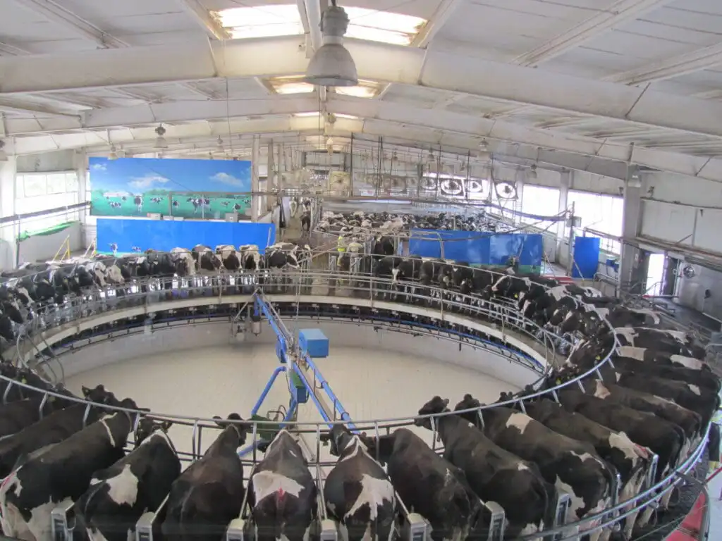 Yili 2018 Sue Camera - Farm & Leisure Tours