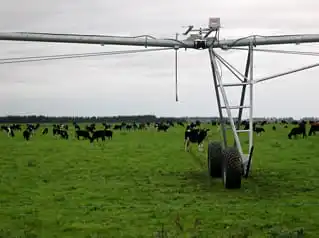 day 9 queenstown christchurch - Farm & Leisure Tours