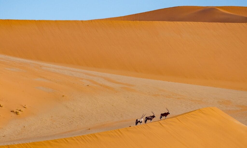 Namibia Tour