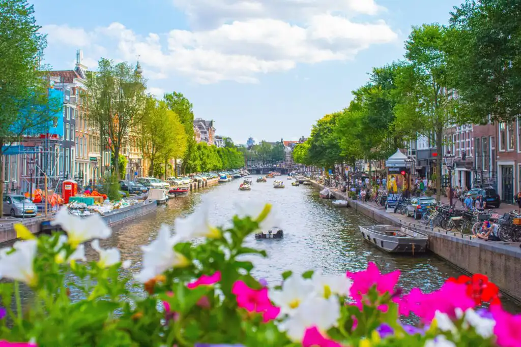 Best of Dutch & Belgium Agriculture