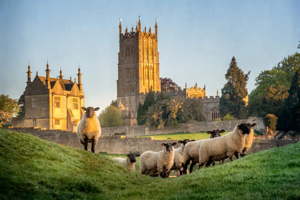 iStock 1125413672 - Farm & Leisure Tours