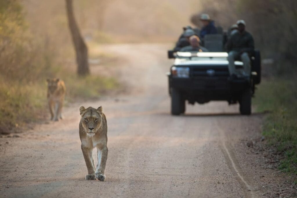 Namibia Tour